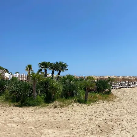 Horizon 9 'в' * سفيتي فلاس